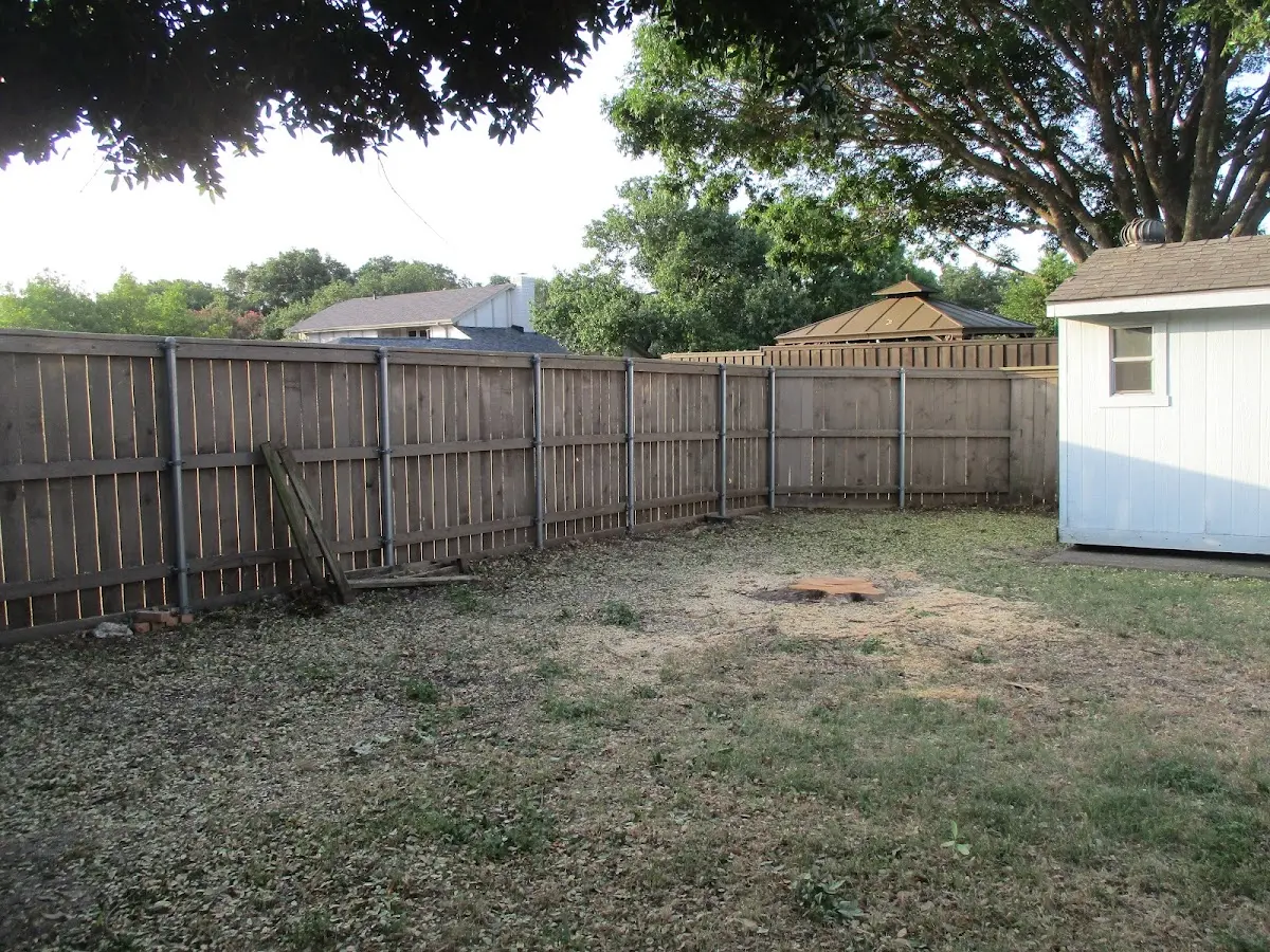 Cleared yard after professional tree removal in Pursglove